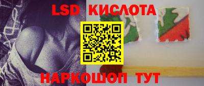 индика Донецк